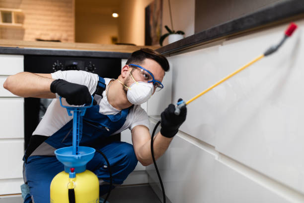 Best Affordable Pest Control Services  in Cibolo, TX