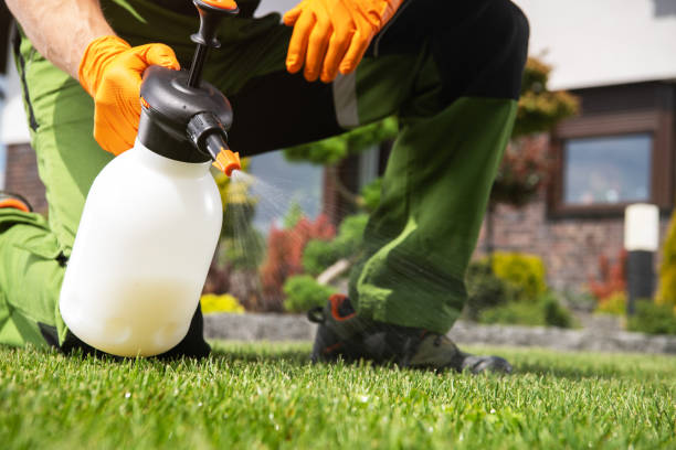 Best Exterminator Services  in Cibolo, TX