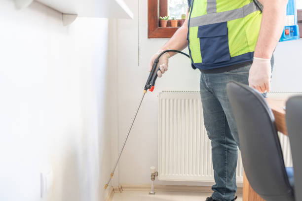 Wasp Removal Services in Cibolo, TX